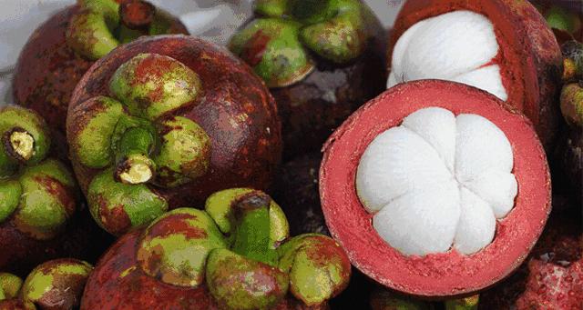 怎么挑选多肉山竹果实,山竹怎么选肉多无籽的