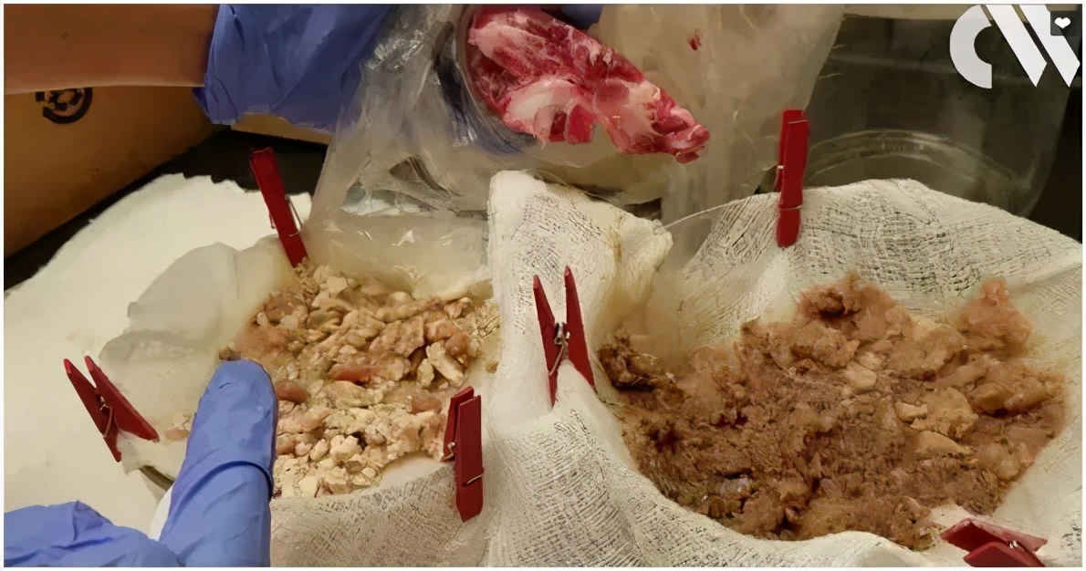 寮洪吀寮虹⒈鑳芥秷闄ゅ案浣撳悧,寮洪吀寮虹⒈鐪熻兘璁╁案浣撴秷澶辨棤韪悧