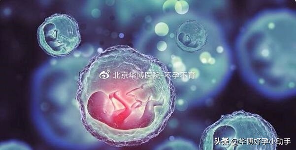 从胎儿着床到有胎芽胎心要多久,从受孕到着床