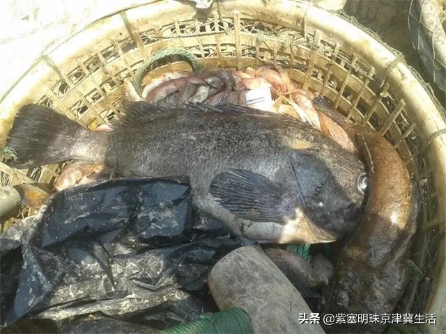 吴家台渔家民宿小院,海岛渔家客栈