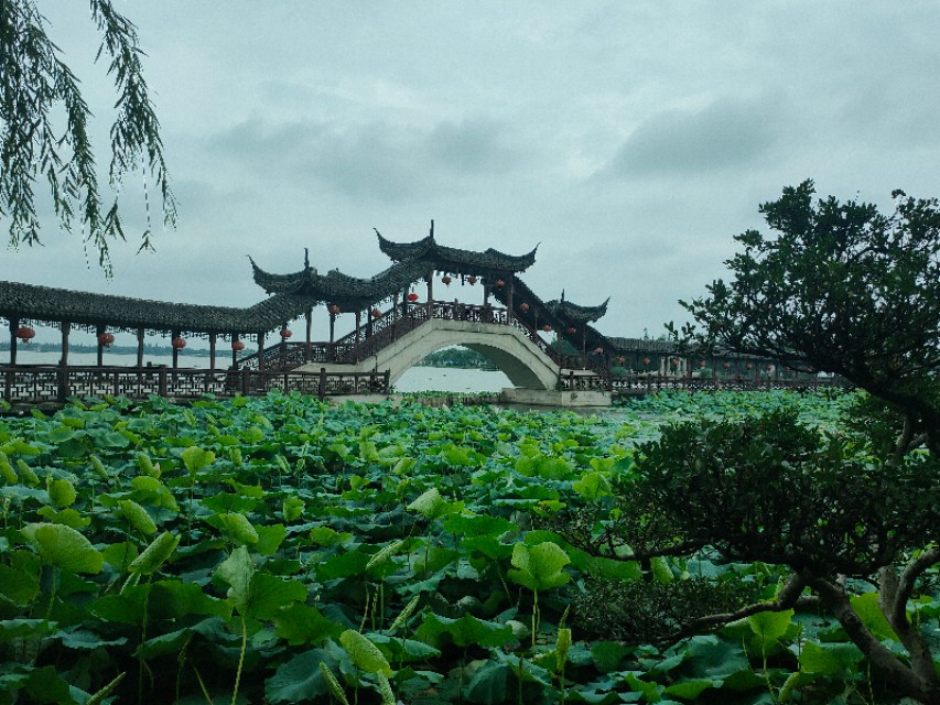 苏州市最美古镇,苏州有名的千灯古镇