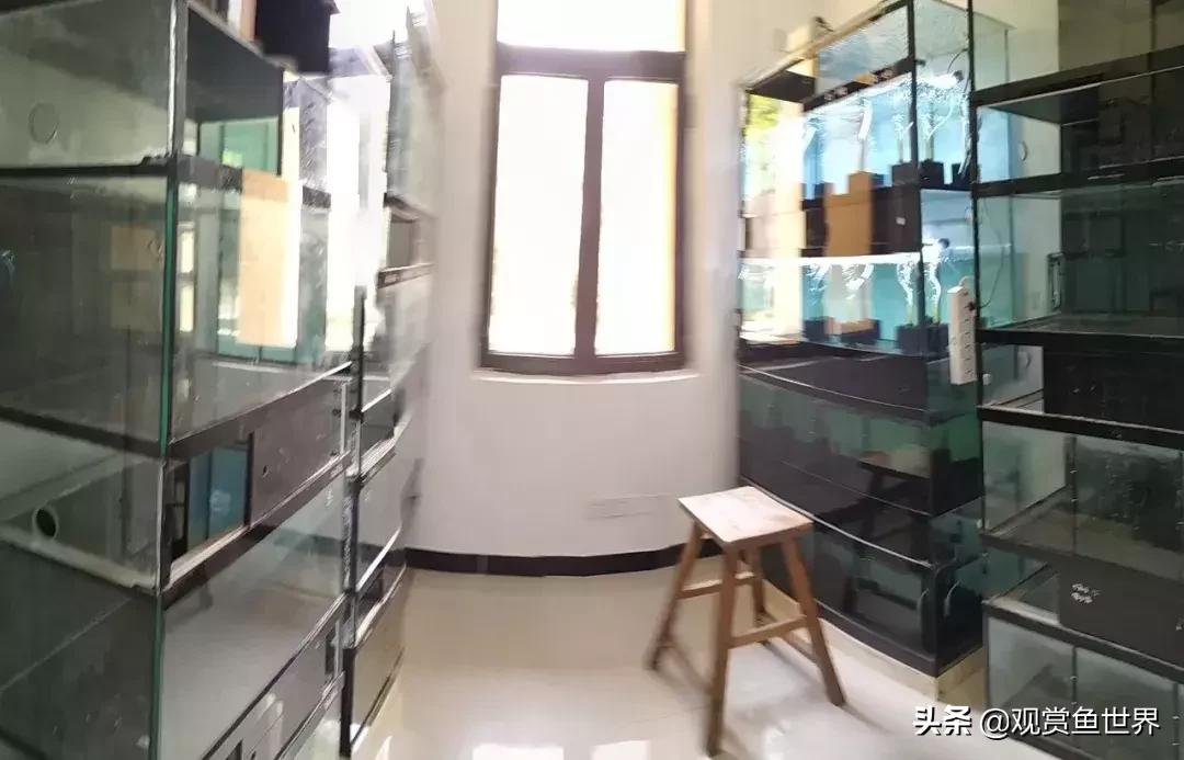 梦想的三湖世界持续建设中……方位:中国天津