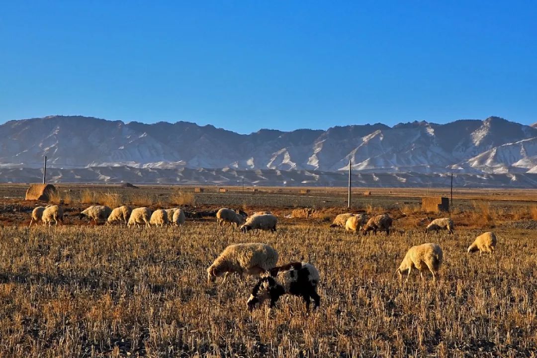 全国唯一用铜命名的城市,中国唯一以金属命名的城市