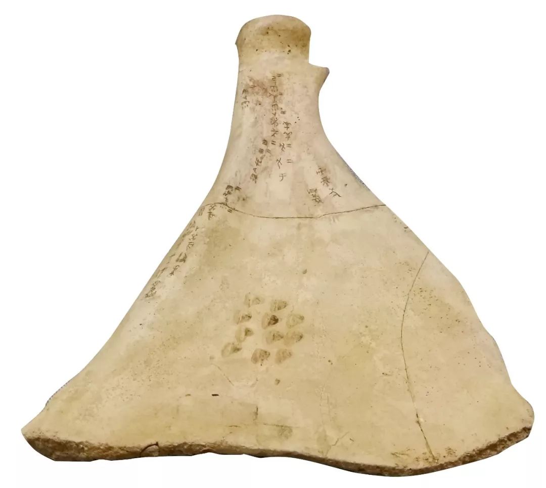 甲骨文书法图片大全,甲骨文书法图片高清