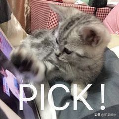 英国利物浦住宿攻略,英国留学住宿费用一览表