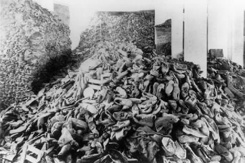 恐怖的纳粹*党**卫军和秘密警察