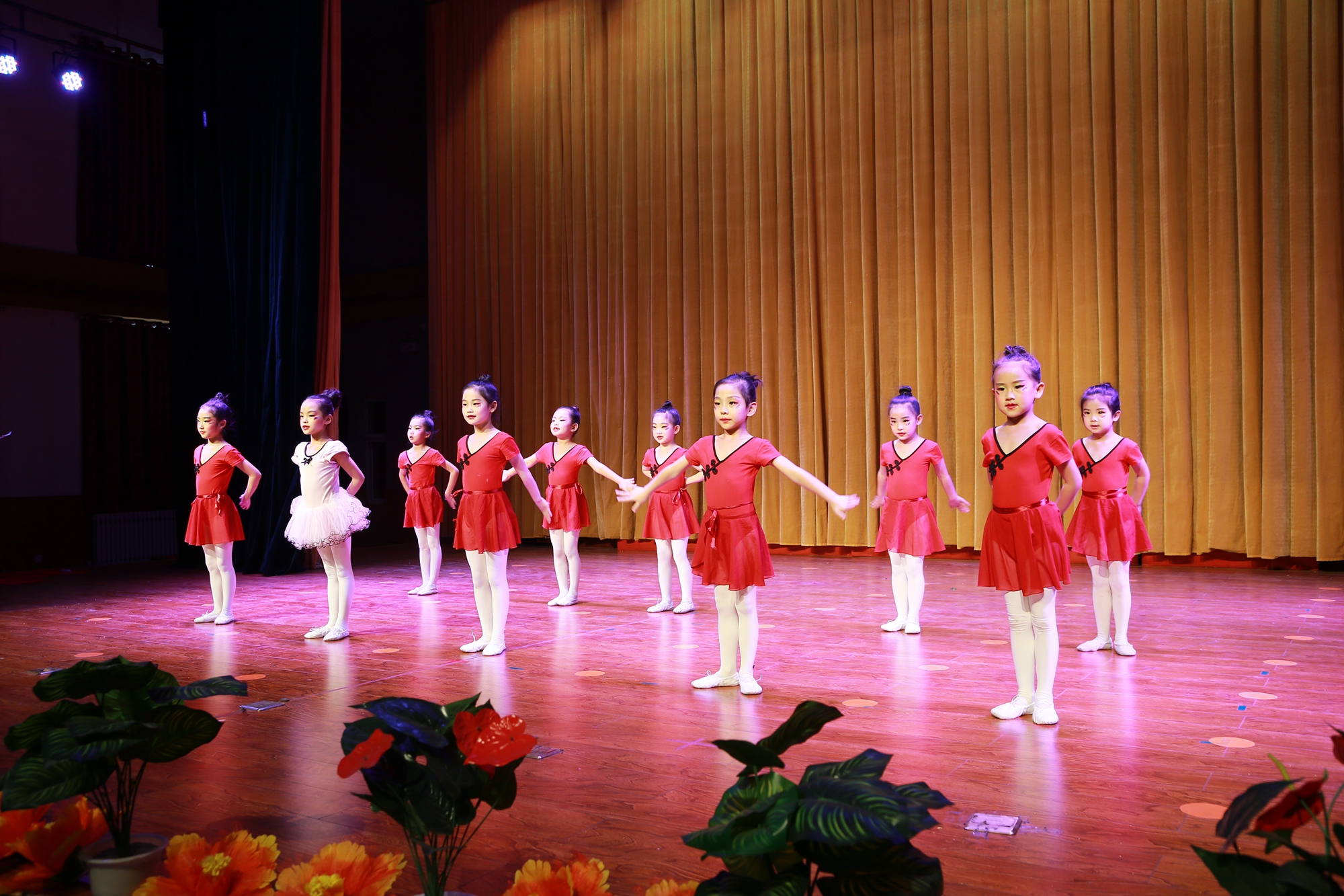 金鸡艺术《舞动人生梦想起航》专场晚会在青少年活动中心演出