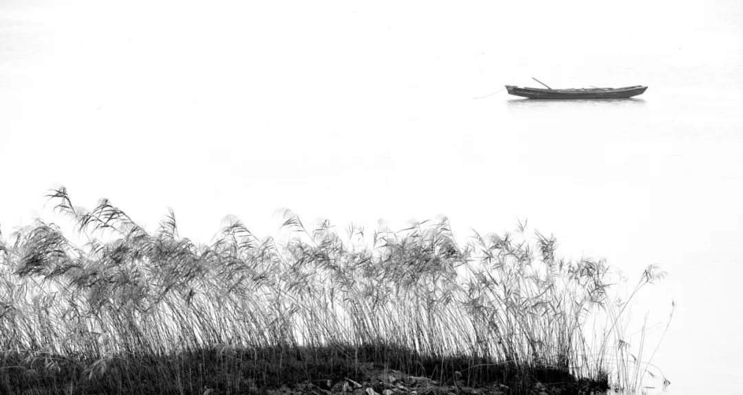 10首最美相思的诗词,十首寒露诗词带你感受深秋之美