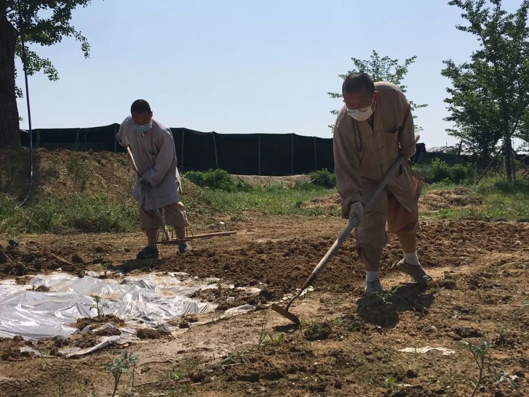 抢抓农时开展农业生产,农民纷纷抢抓春耕生产有利时机
