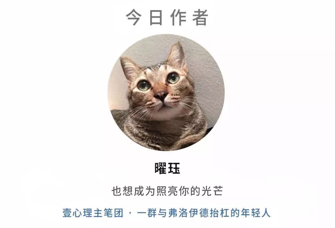 他是快手“最没用”网红,却治好300万人的焦虑