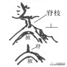 名师讲堂节选视频,名师课例分享及研讨交流