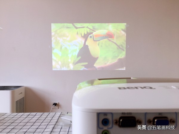 一键投屏电视,一键投屏最新版