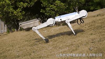 今年最火爆的智能机器狗,最新款智能机器狗推荐