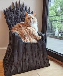 三分钟读一本名著巴黎圣母院,三分钟读完法国历史