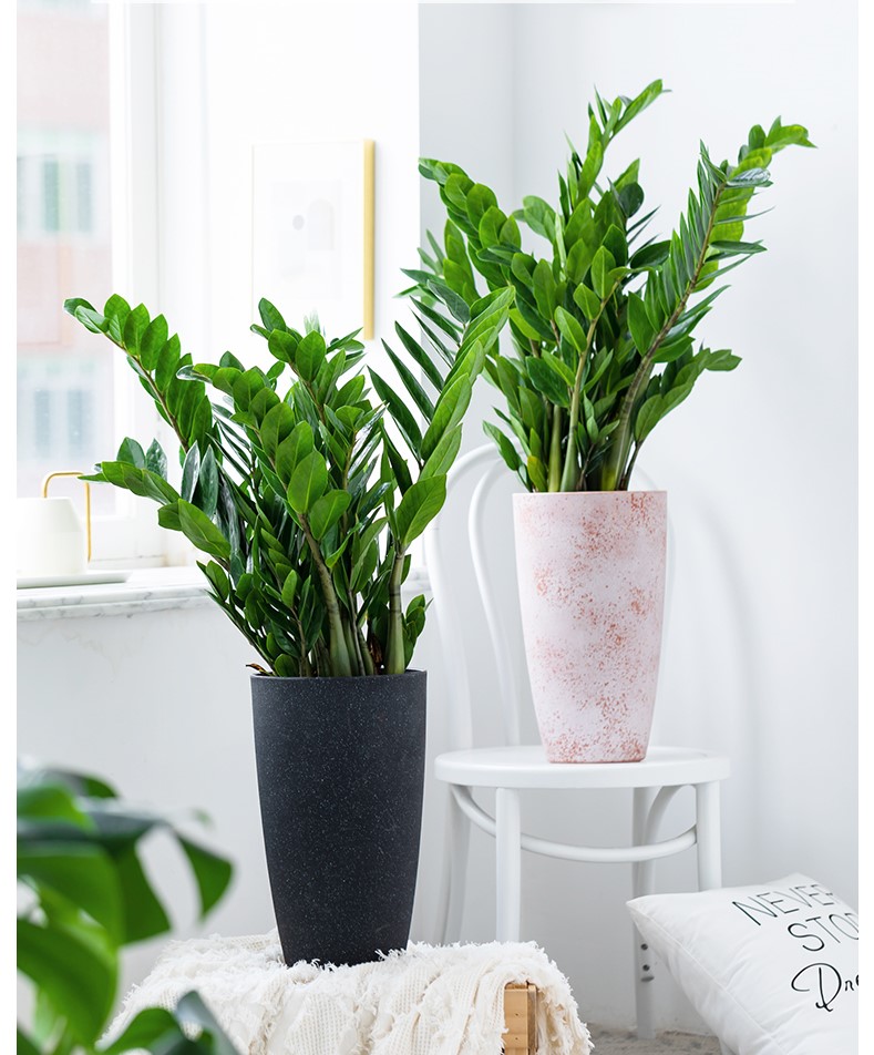 招财进宝马上来财正确摆放位置,招财和守财如何摆放