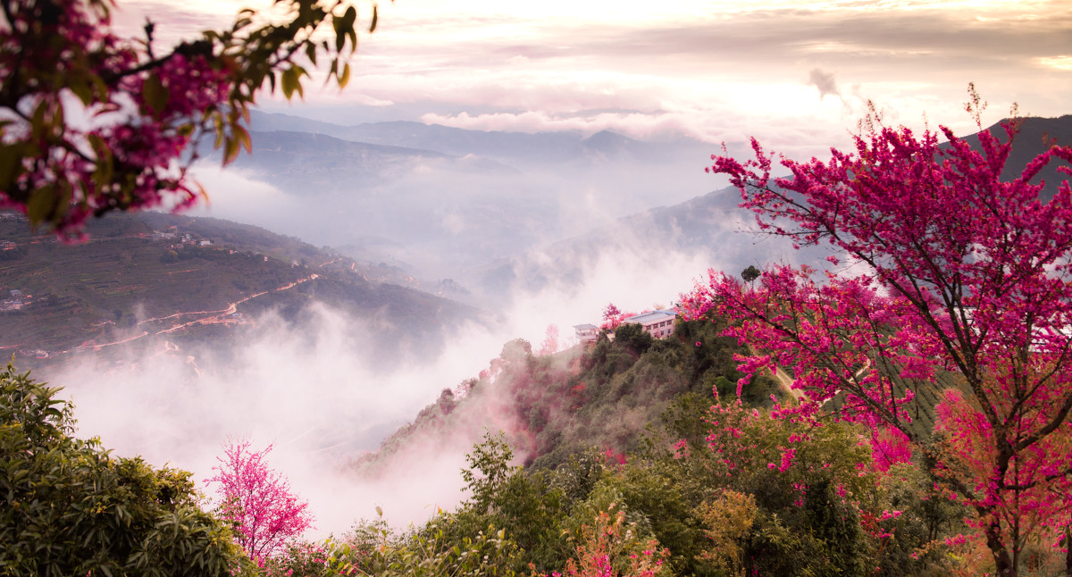 12月份中国值得旅游的地方,冬天最美的旅游地方