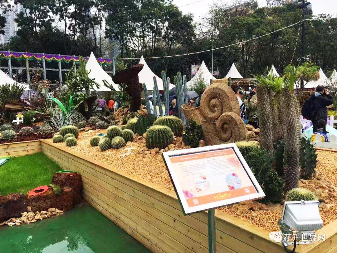 共赴盛会活动,香港国际花卉展