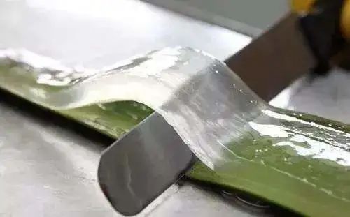 一文击碎芦荟胶完美神话