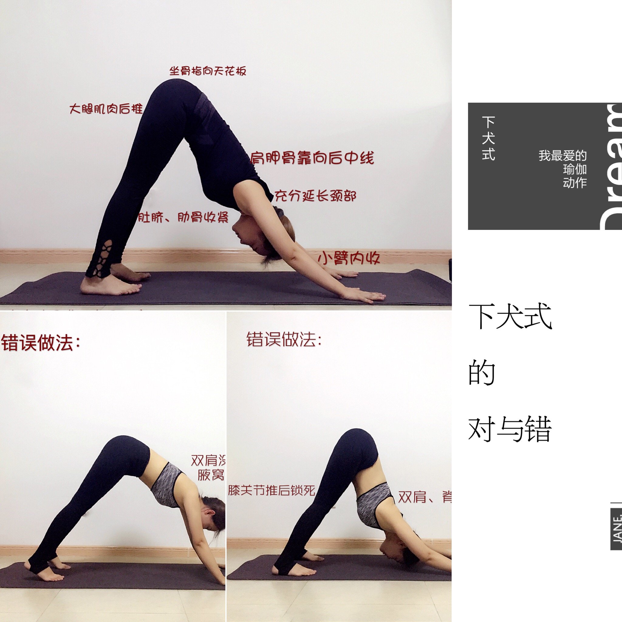 零基础学瑜伽下犬式,小幸瑜伽