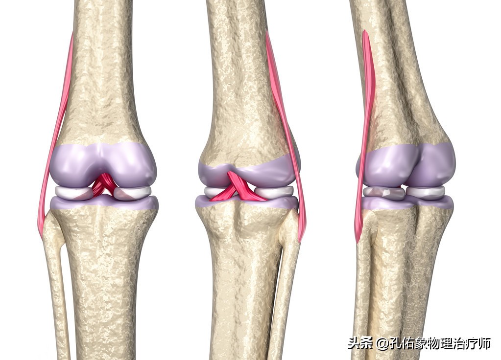 膝盖疼是什么病因需要做哪些检查,膝盖疼痛的根本原因与解决方法
