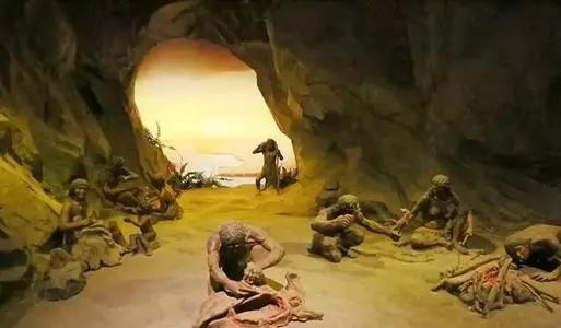 脱毛为啥?114万年前人类褪毛,只剩阴毛、头发等,究竟有啥用?