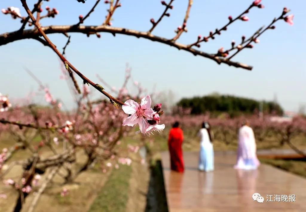 南通已经入春了吗,今年南通什么时候入春