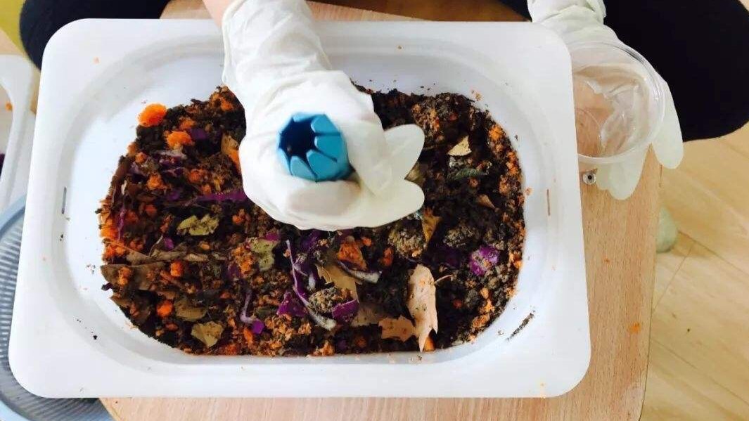 养花施肥用什么肥料效果好,养花施肥用什么肥料