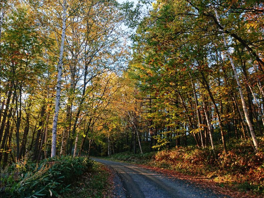 日本从南到北旅游路线,从南游到北