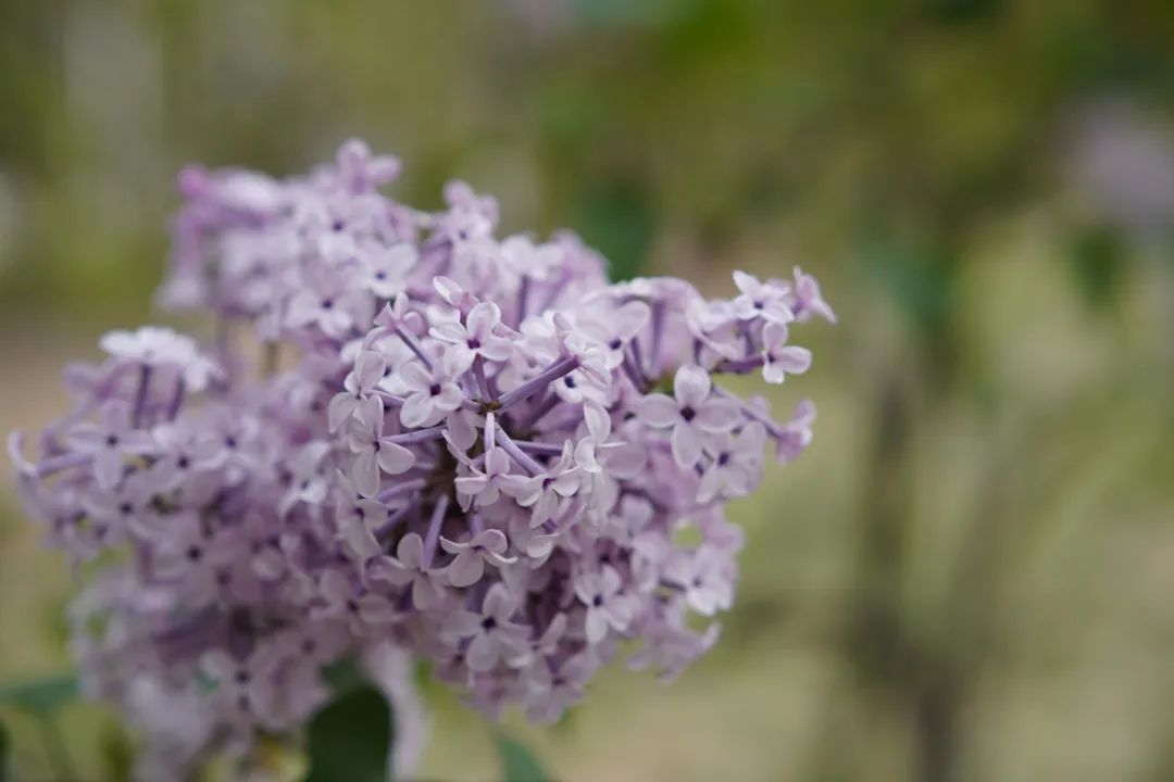 最值得入手的501.8镜头,501.2镜头值得购买吗