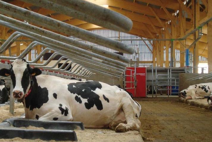 美国人贫穷为什么会胖,美国人为什么越吃越胖