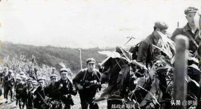 失踪332名烈士英魂未归惨烈回归,失踪58年志愿军战士