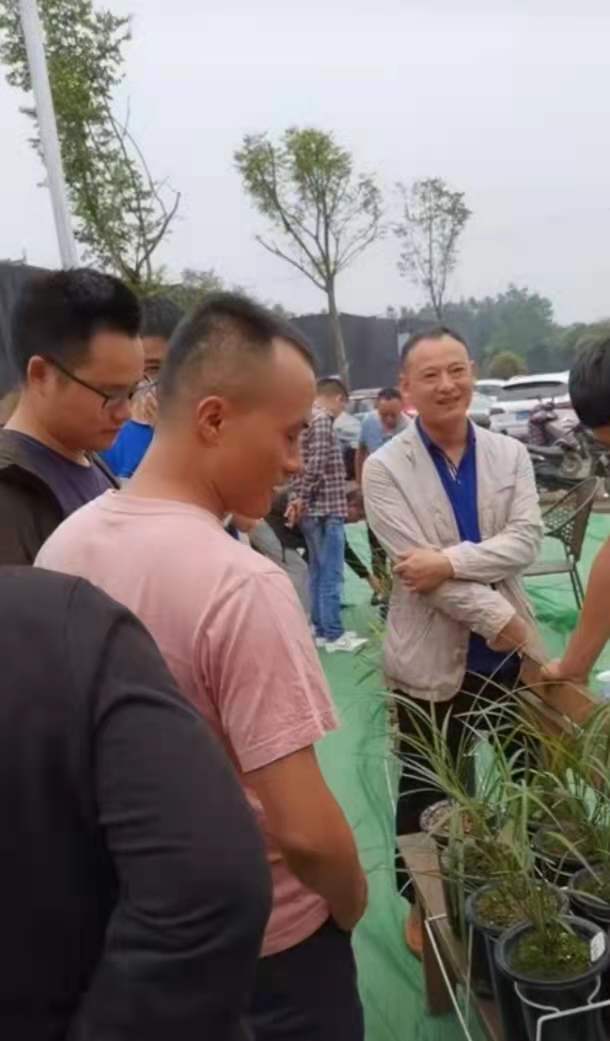 成都市兰花交易市场,温江兰花交易市场在哪