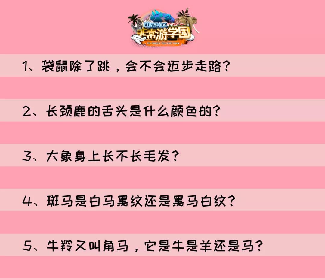 大熊猫百科知识详细介绍,大熊猫前脚有几只手指