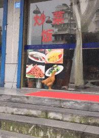 上厕所没有厕纸只能用绳子,上厕所没有卫生纸能用吗