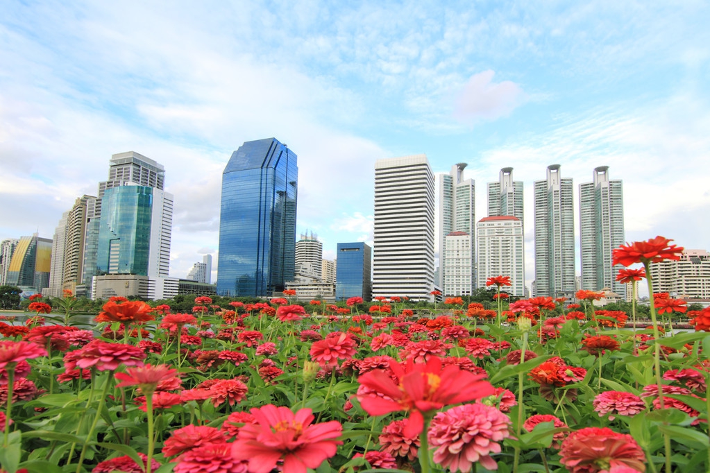 “四尖引领、五福临门”——新城镇河口南社区积极创建“五福（服）临门”*党**建品牌