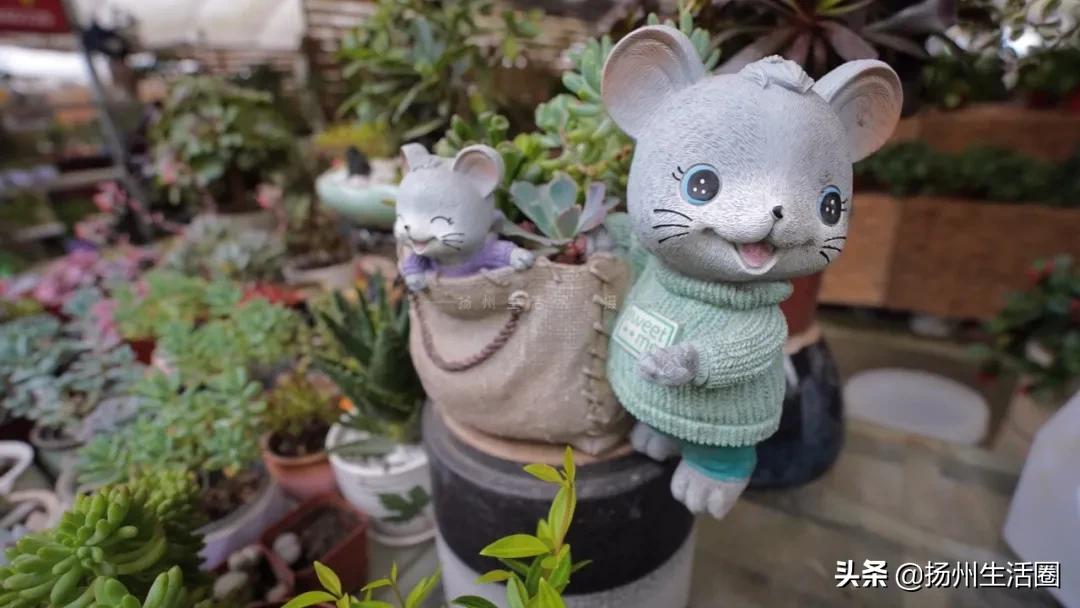 扬州花卉市场大全,扬州西区花卉市场