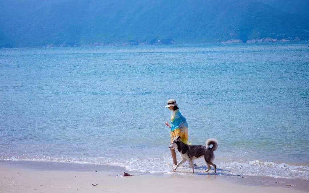 深圳附近小众海岛一日游,不用开车的绝美海岛深圳