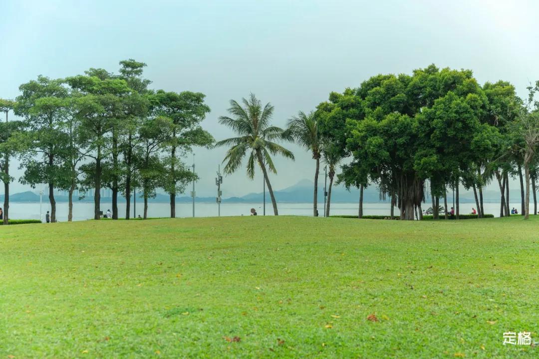 深圳周末打卡地点排行榜,深圳秋季打卡攻略