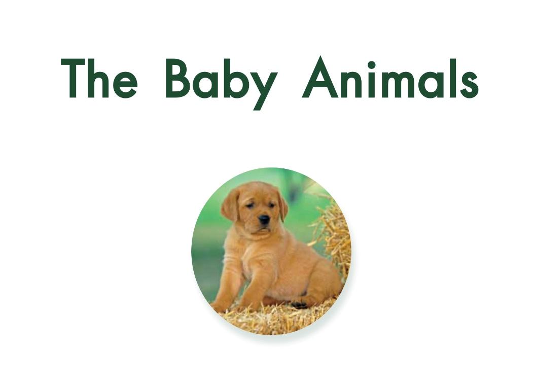 儿童绘本小动物睡前故事,动物宝宝有声绘本推荐0-3岁读绘本