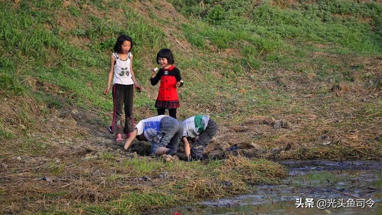 儿歌池塘里小泥鳅,池塘泥鳅儿歌
