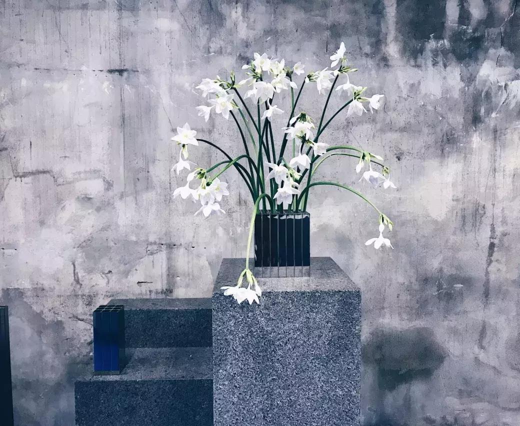 世界上超美的小花店,世界上的小花店