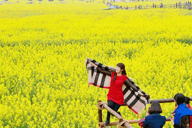 汉中南郑观花最佳路线,全国1-12月赏花旅游线路