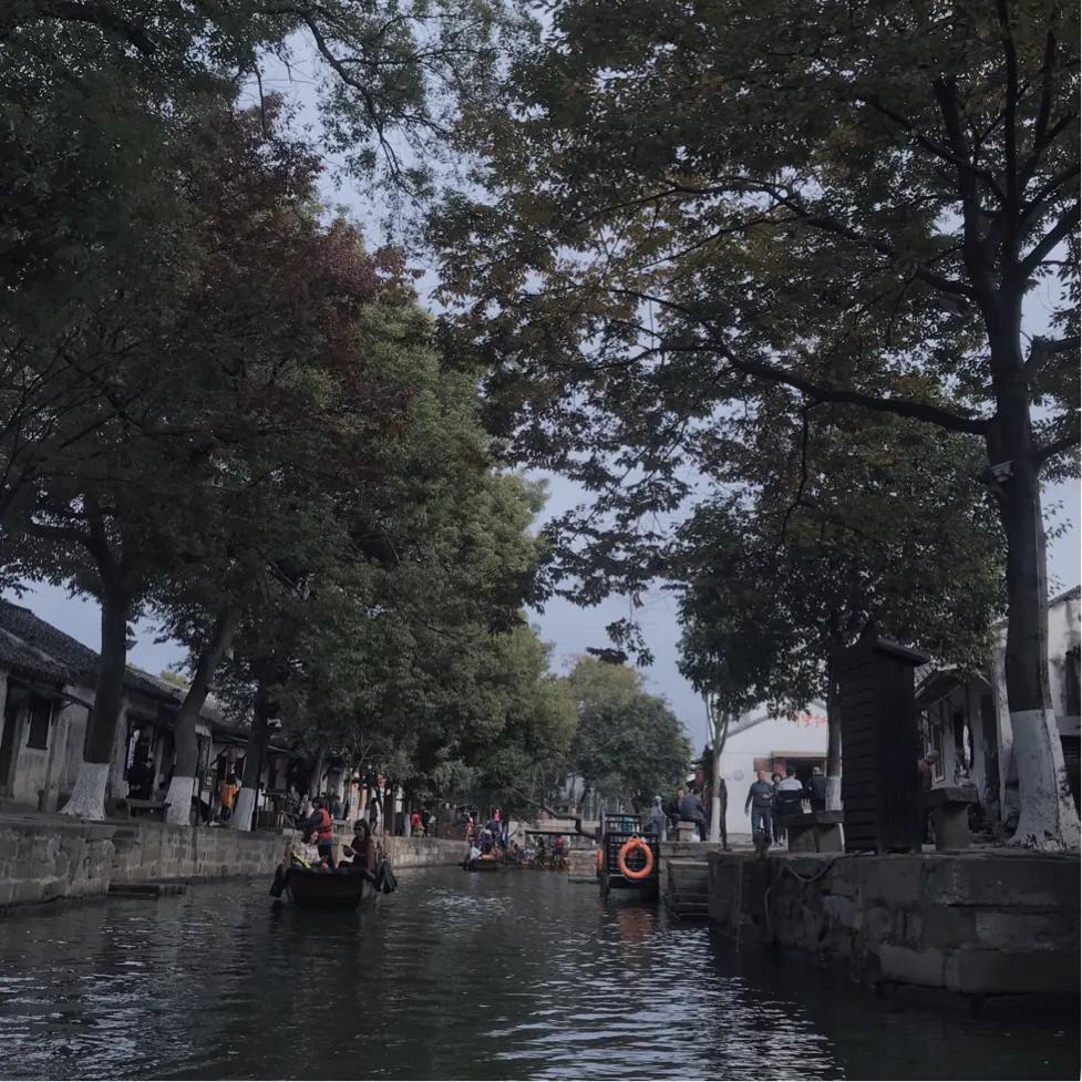 上海同里一日游最佳路线,苏州同里一日游费用