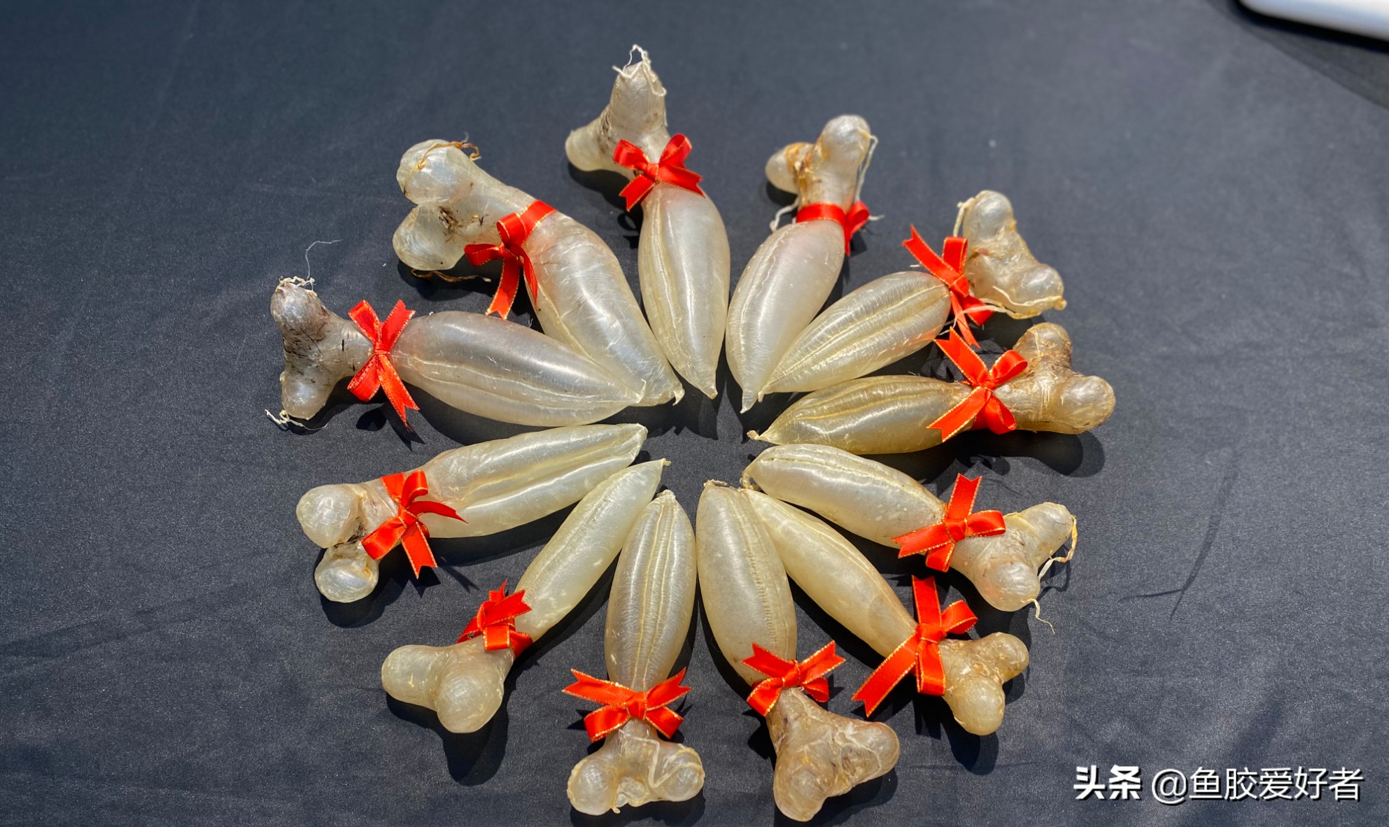 初次接触鱼胶怎么选,买鱼胶要注意什么