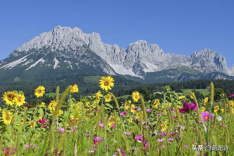 和异性同事一起出差该怎么办,和异性同事出差该怎么办