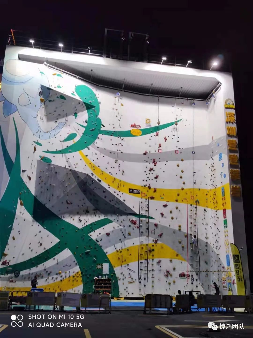 外贸如何搜索客户,外贸客户搜索系统