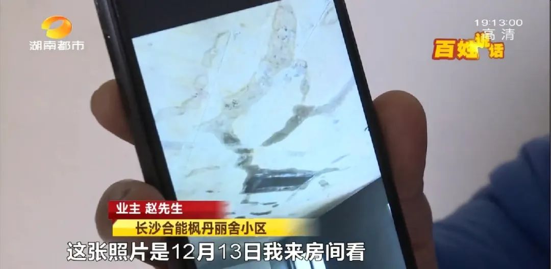 新房天花板裂缝如蜘蛛网,新房屋顶变蜘蛛网裂缝密密麻麻