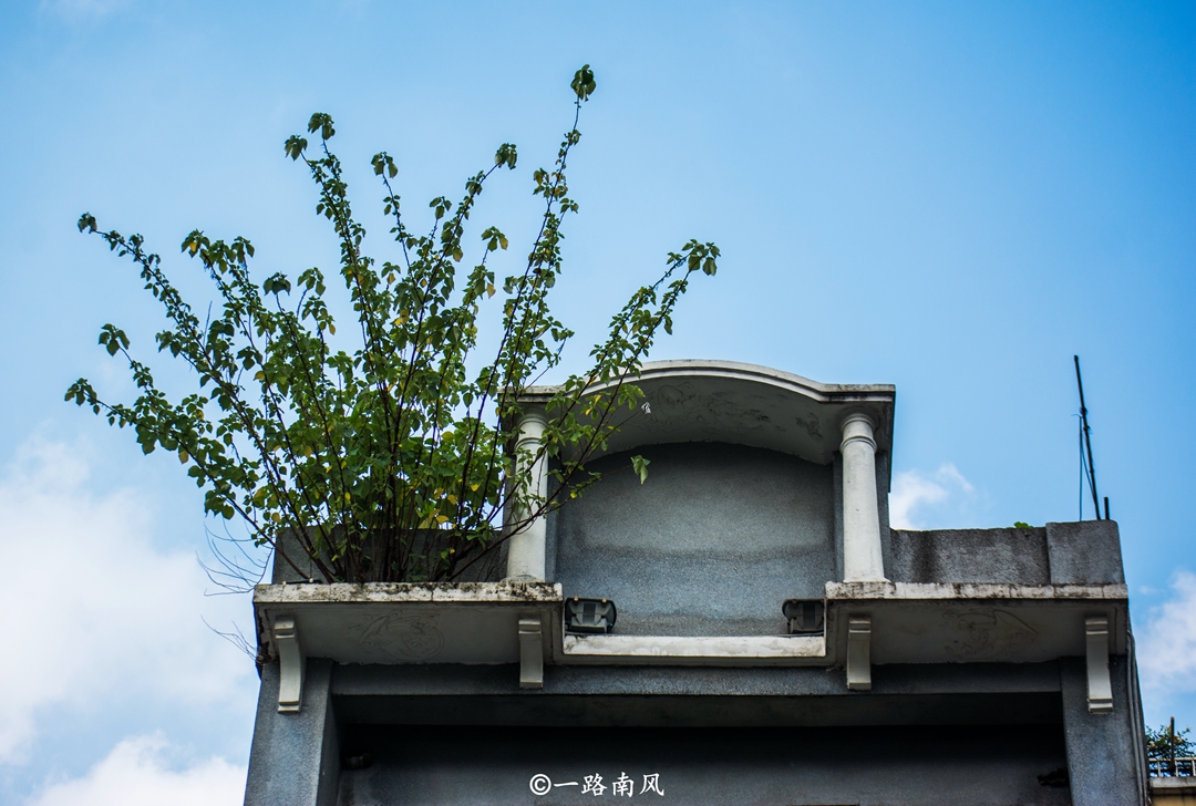 广州老城街道景色,广州有没有拍照好看的老式街道