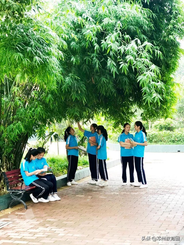 邓州市致远实验学校：桥边观鱼，竹下吟诗！真是师生进校入画来