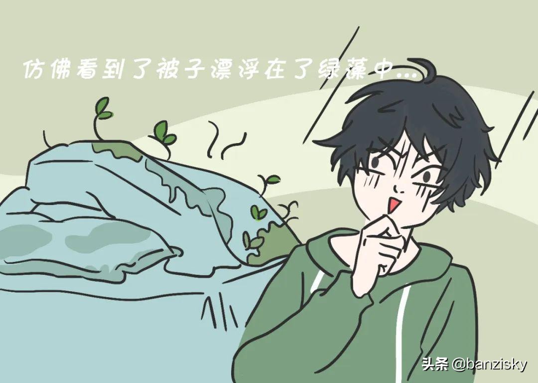 被子长出了木耳，老鼠满地跑，牙刷长了毛，这宿舍该咋收拾啊